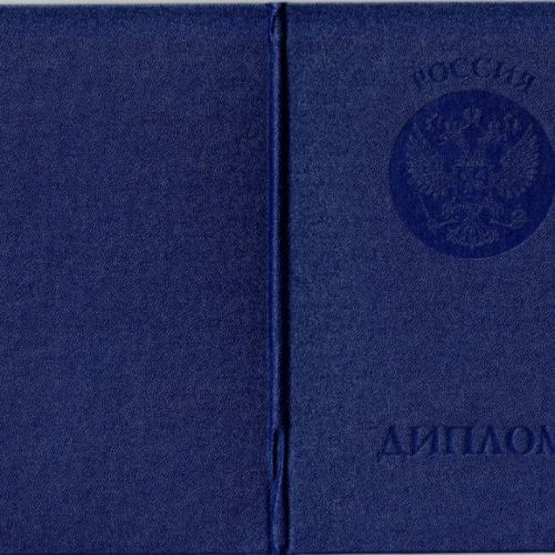 Диплом академии 2004-2008